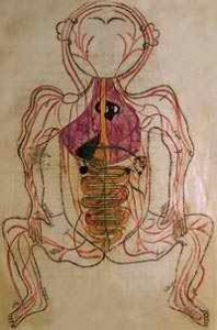 g-blood-circulation